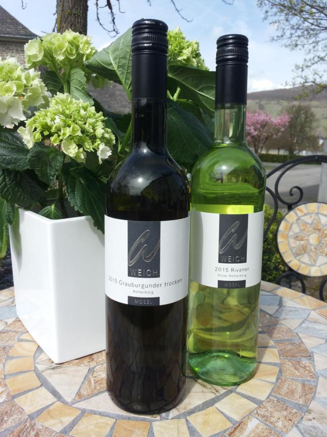 Riol Weingut Weich酒店 外观 照片