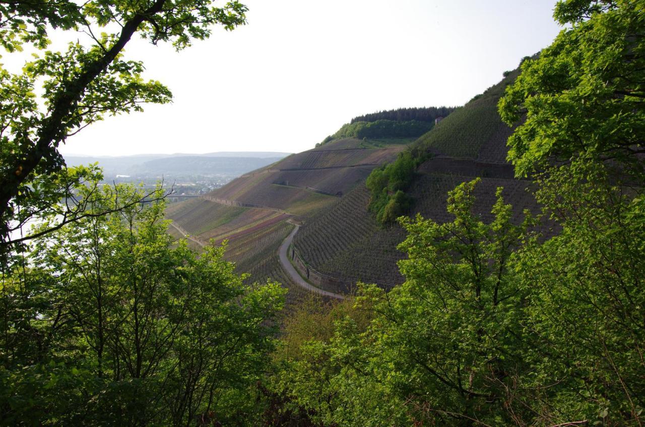 Riol Weingut Weich酒店 外观 照片