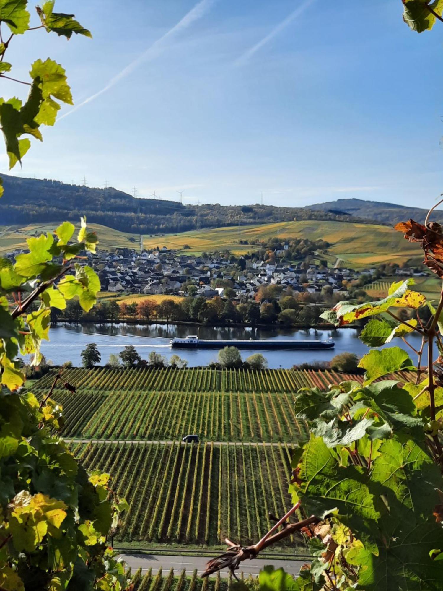 Riol Weingut Weich酒店 外观 照片